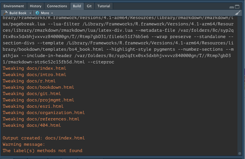environment panel in RStudio with the build tab selected