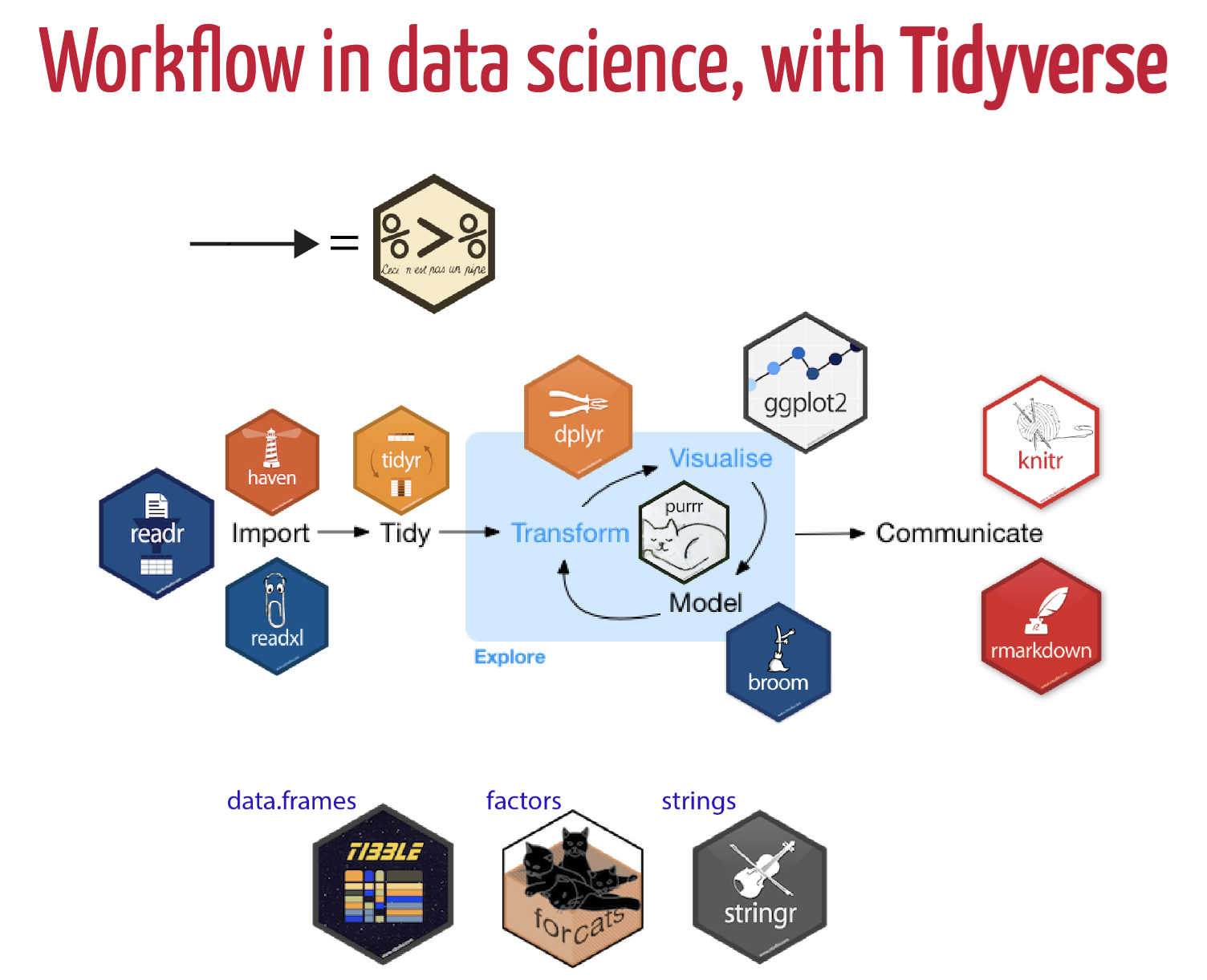 Data Science workflow utilizing Tidyverse packages. Art Credit: Dr. Olivier Gimenez